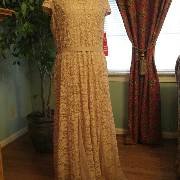 NWT Lace Dress - Picture 3 of 8